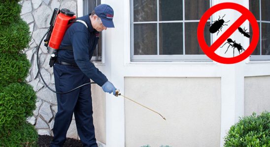 Dursunbey Karınca İlaçlama böcek ilaçlama ve haşere kontrolü — ilaclama-tr.com